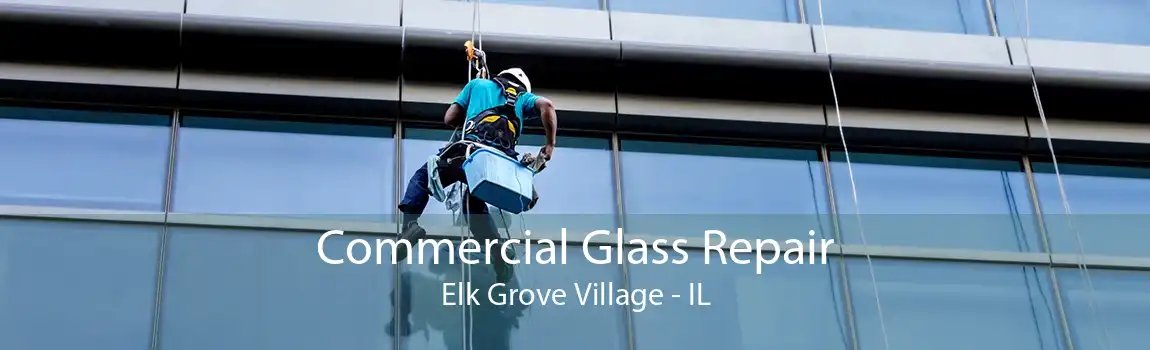 Commercial Glass Repair Elk Grove Village - IL