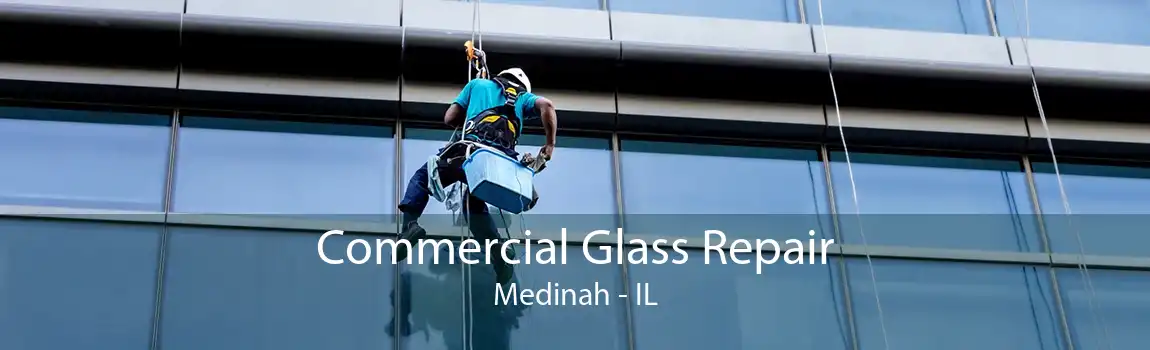 Commercial Glass Repair Medinah - IL