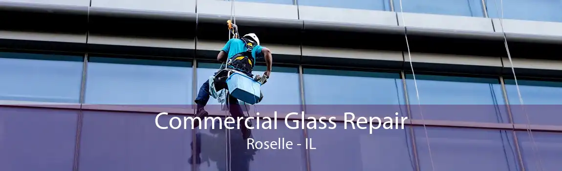 Commercial Glass Repair Roselle - IL