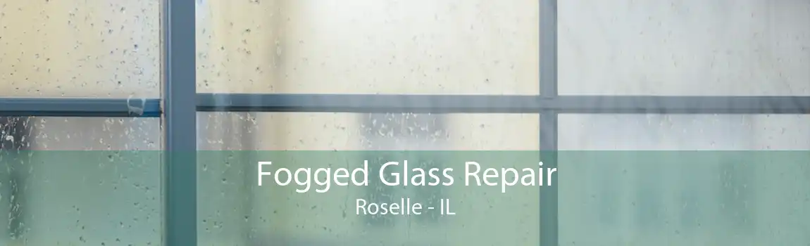 Fogged Glass Repair Roselle - IL