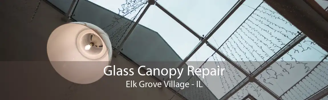 Glass Canopy Repair Elk Grove Village - IL