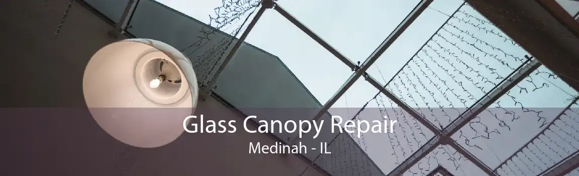 Glass Canopy Repair Medinah - IL