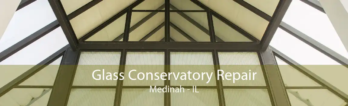 Glass Conservatory Repair Medinah - IL