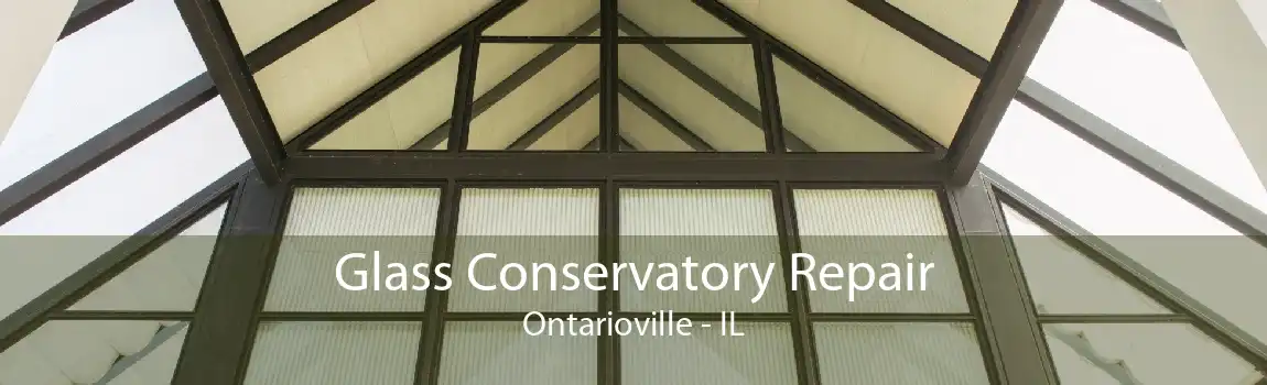 Glass Conservatory Repair Ontarioville - IL