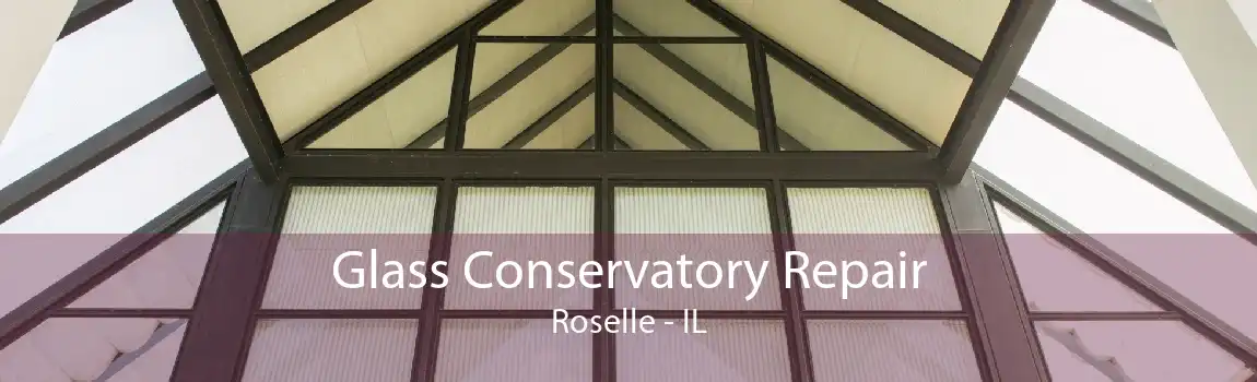 Glass Conservatory Repair Roselle - IL