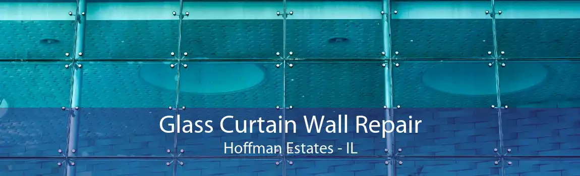 Glass Curtain Wall Repair Hoffman Estates - IL