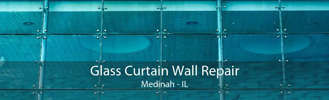 Glass Curtain Wall Repair Medinah - IL