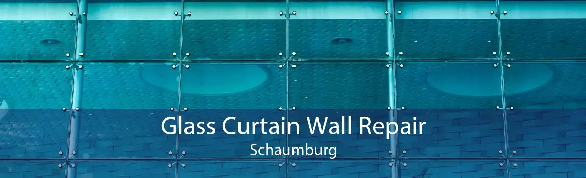 Glass Curtain Wall Repair Schaumburg