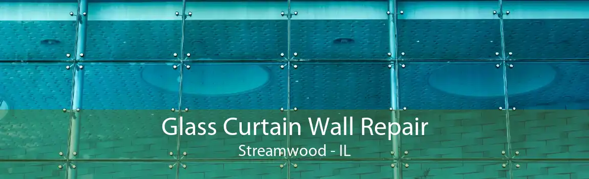 Glass Curtain Wall Repair Streamwood - IL