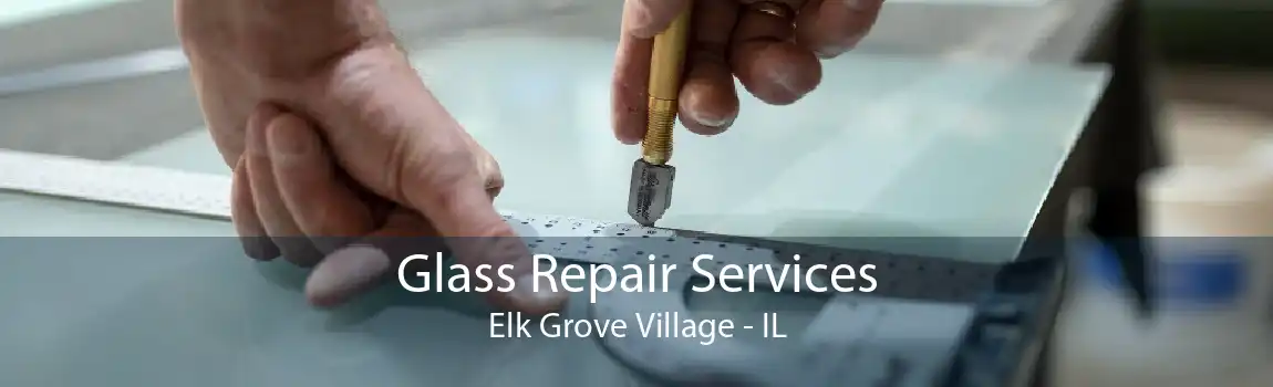 Glass Repair Services Elk Grove Village - IL