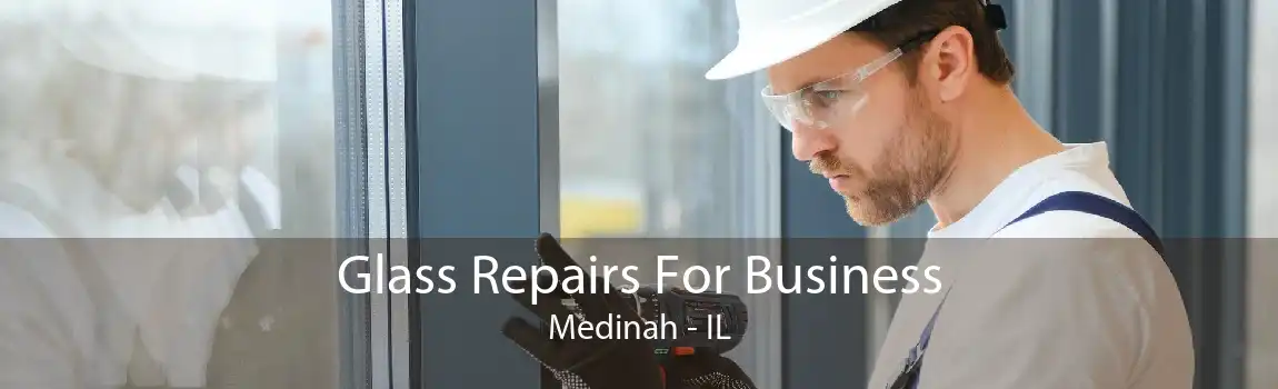 Glass Repairs For Business Medinah - IL