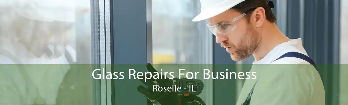 Glass Repairs For Business Roselle - IL