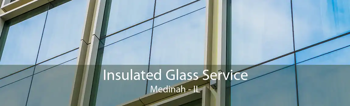 Insulated Glass Service Medinah - IL