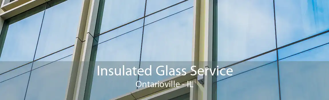 Insulated Glass Service Ontarioville - IL