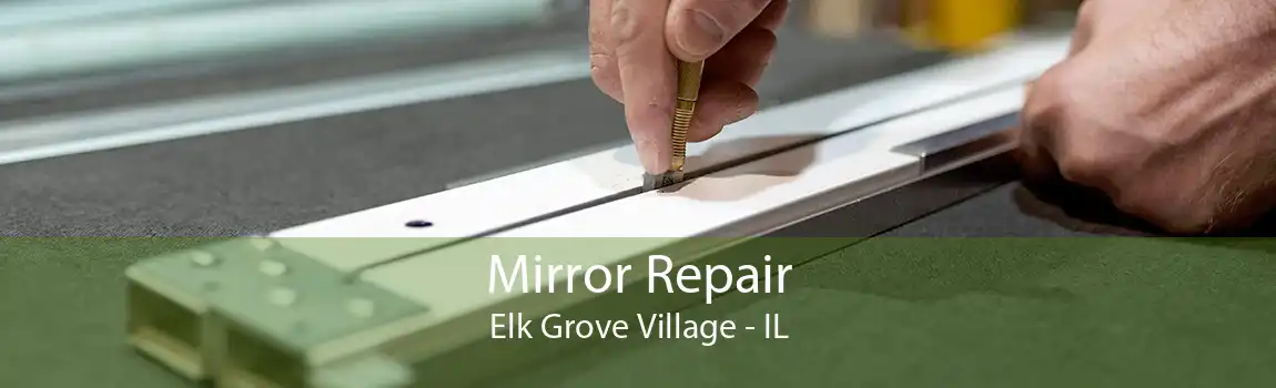 Mirror Repair Elk Grove Village - IL