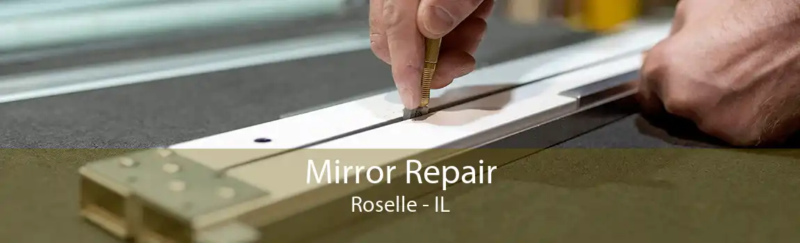 Mirror Repair Roselle - IL