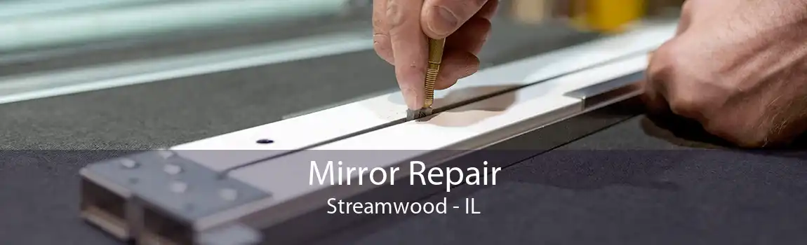 Mirror Repair Streamwood - IL