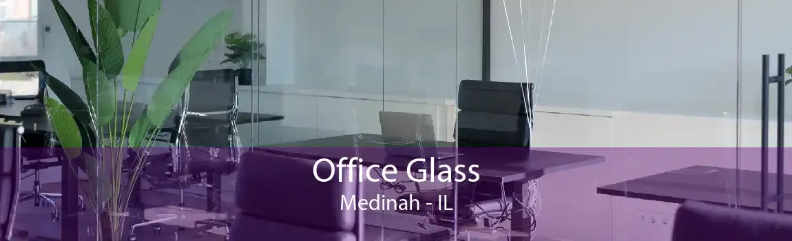 Office Glass Medinah - IL