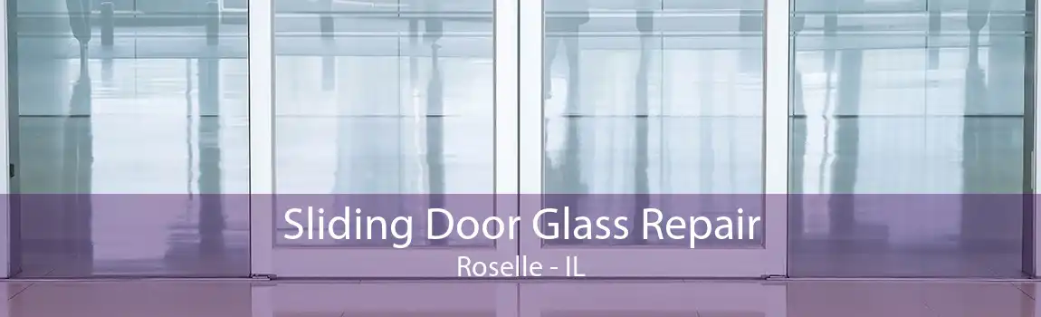 Sliding Door Glass Repair Roselle - IL