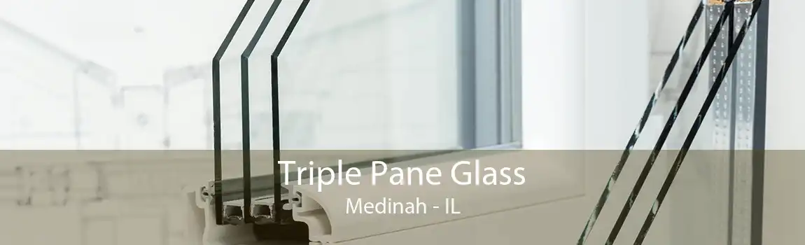 Triple Pane Glass Medinah - IL