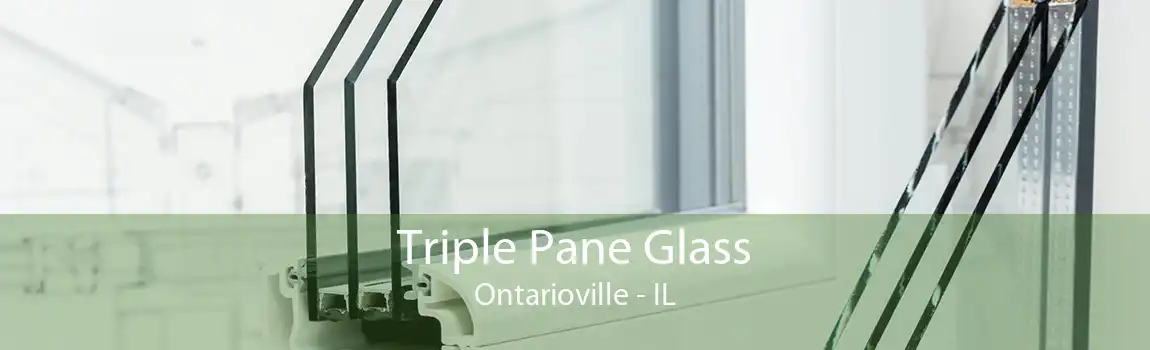 Triple Pane Glass Ontarioville - IL