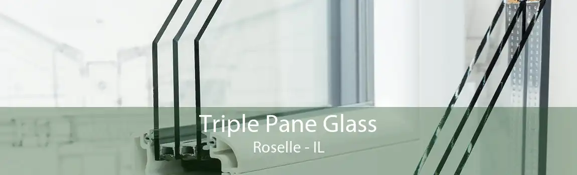 Triple Pane Glass Roselle - IL