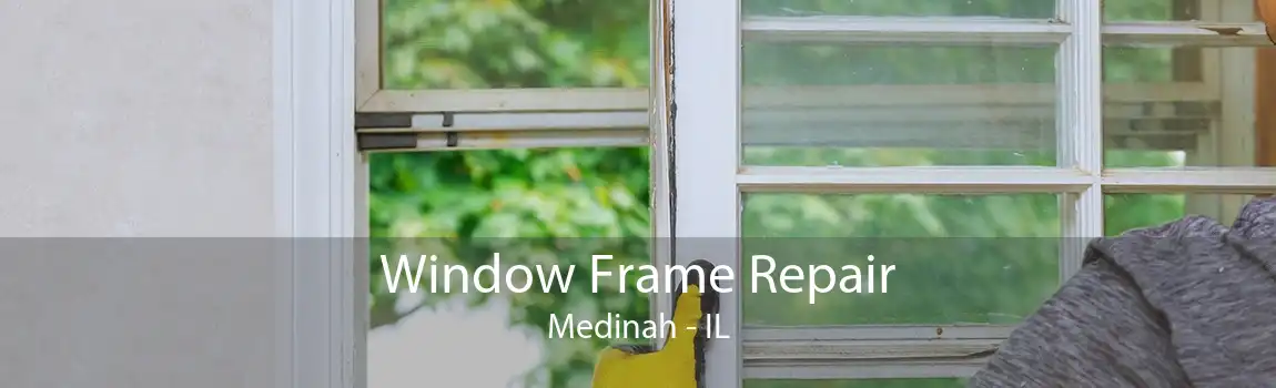 Window Frame Repair Medinah - IL