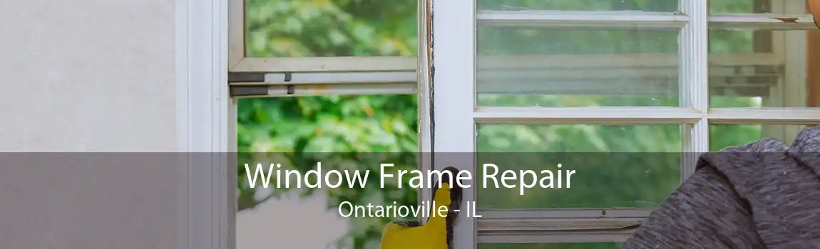 Window Frame Repair Ontarioville - IL