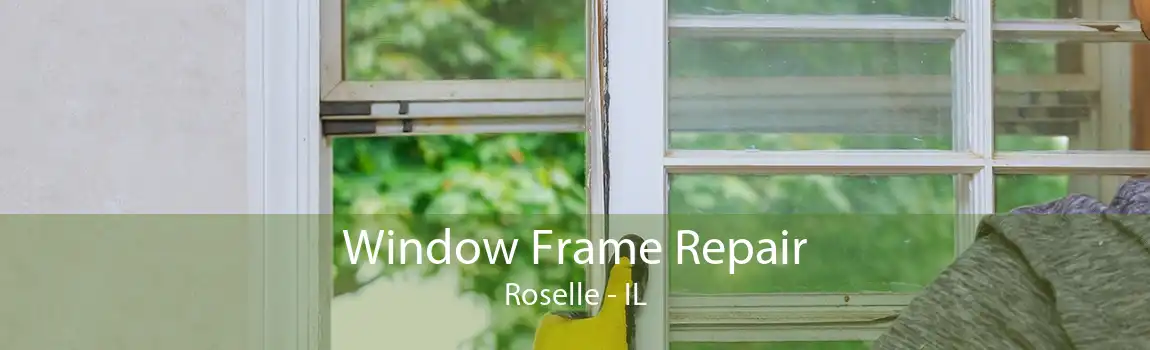 Window Frame Repair Roselle - IL