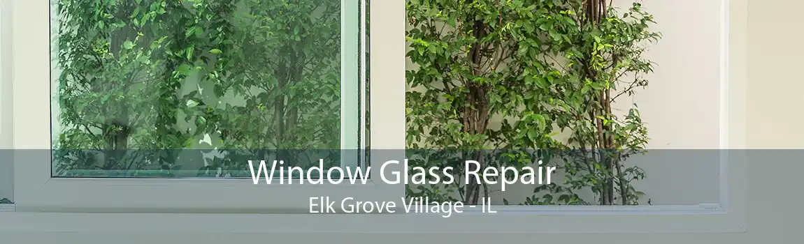 Window Glass Repair Elk Grove Village - IL