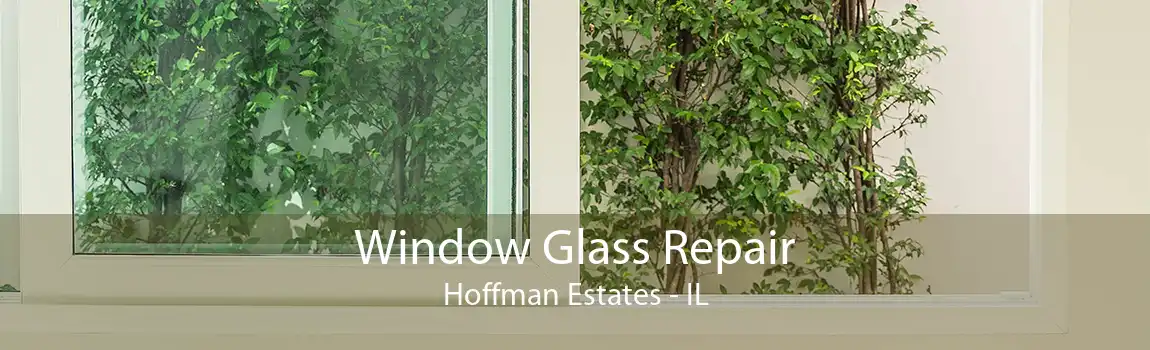 Window Glass Repair Hoffman Estates - IL