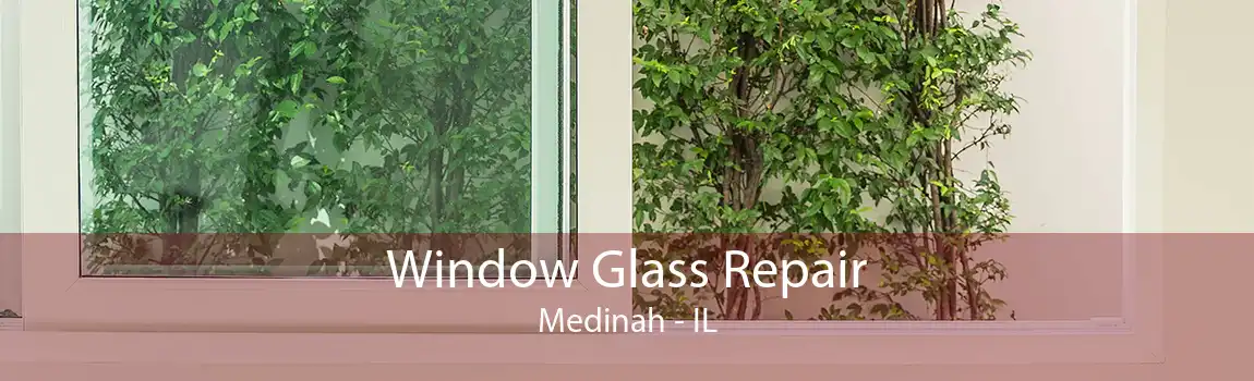 Window Glass Repair Medinah - IL