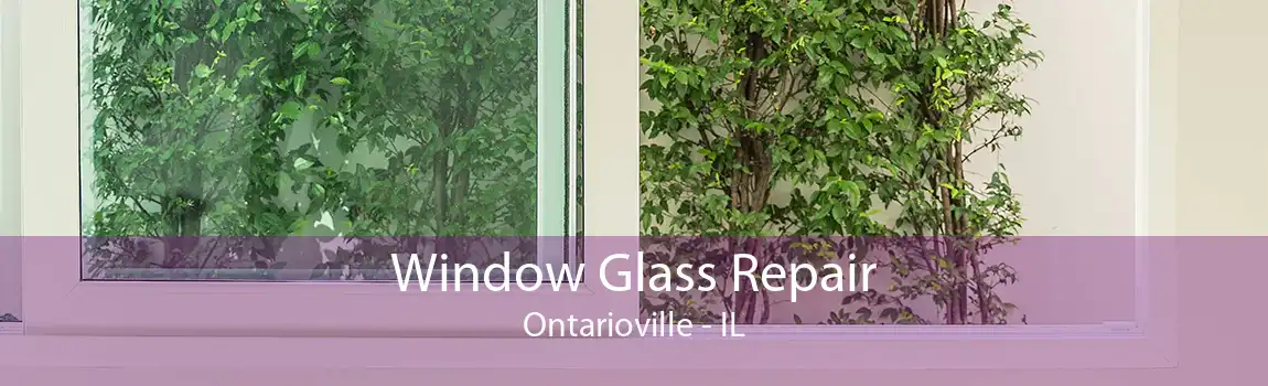 Window Glass Repair Ontarioville - IL