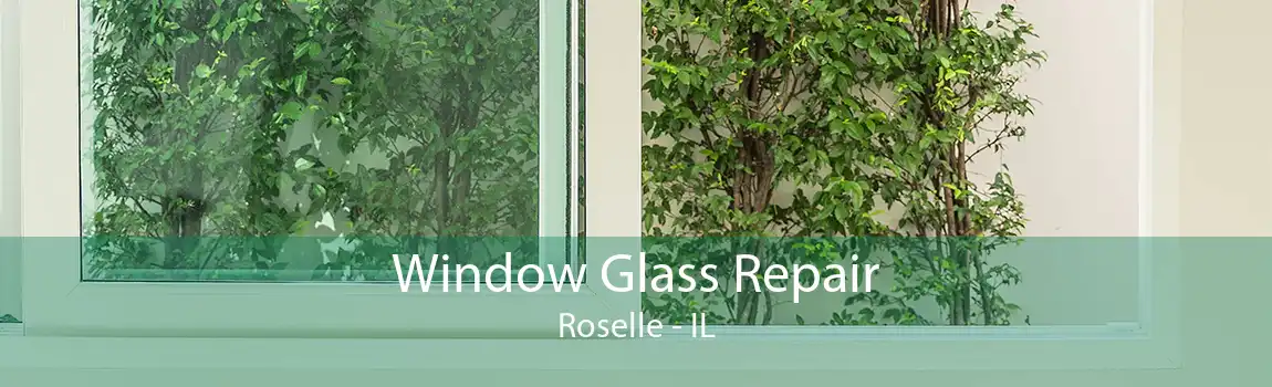 Window Glass Repair Roselle - IL