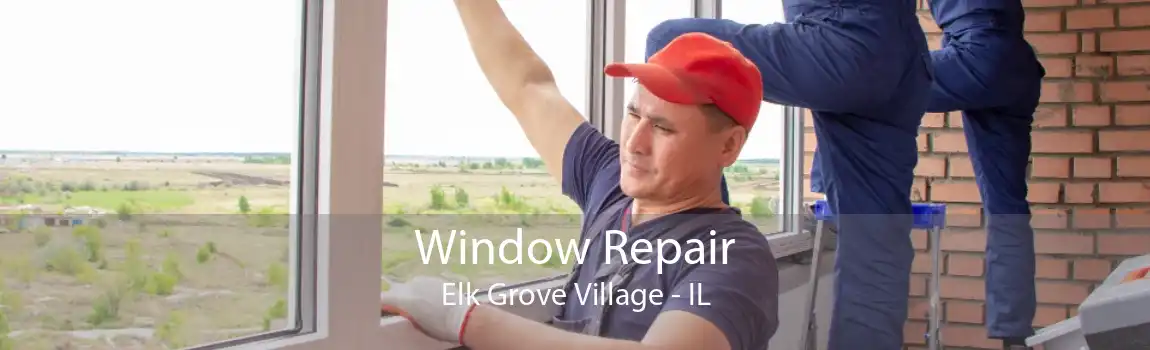 Window Repair Elk Grove Village - IL