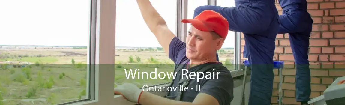 Window Repair Ontarioville - IL