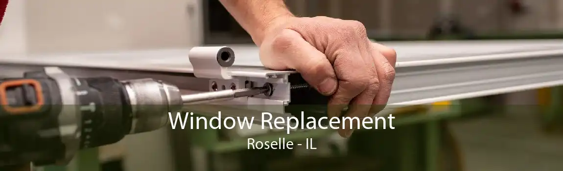 Window Replacement Roselle - IL