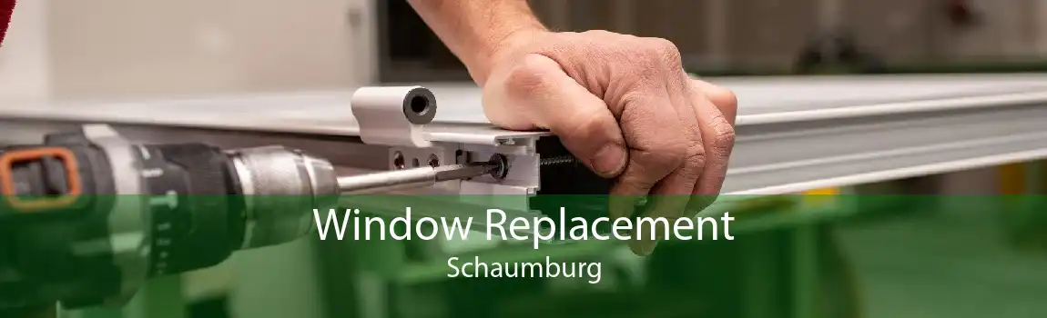 Window Replacement Schaumburg