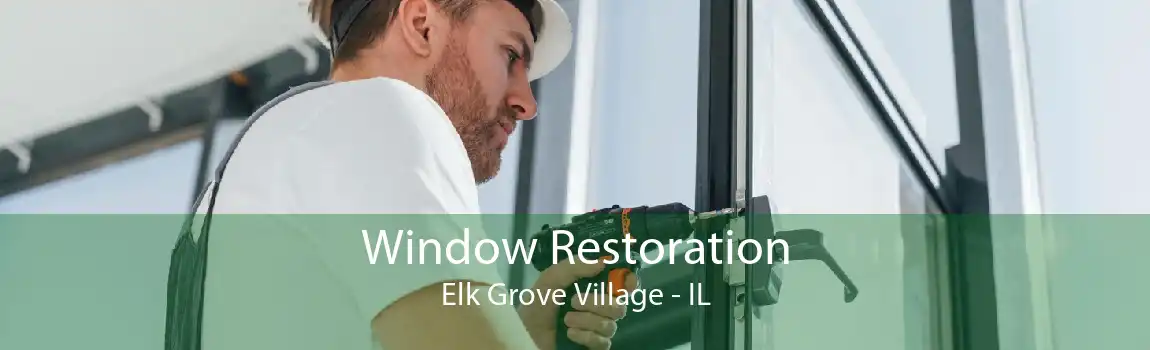 Window Restoration Elk Grove Village - IL