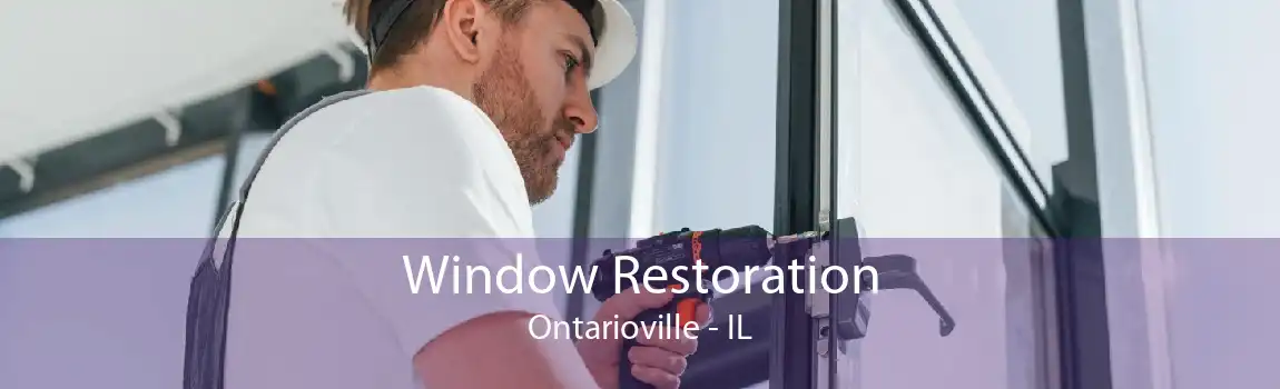 Window Restoration Ontarioville - IL