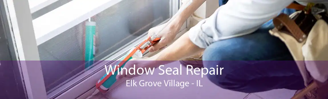 Window Seal Repair Elk Grove Village - IL