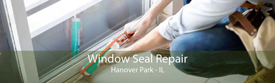 Window Seal Repair Hanover Park - IL