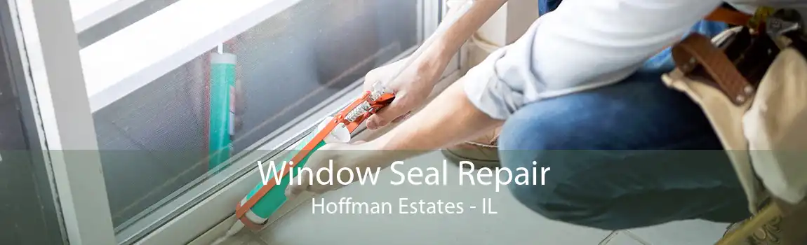 Window Seal Repair Hoffman Estates - IL