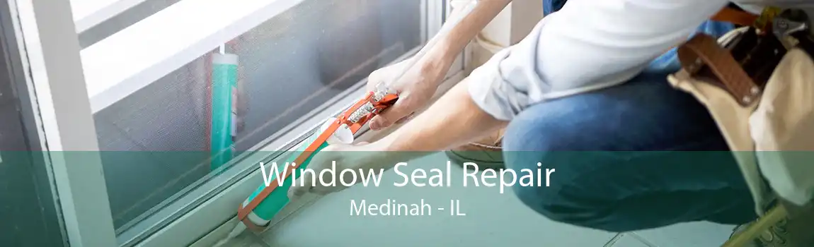 Window Seal Repair Medinah - IL