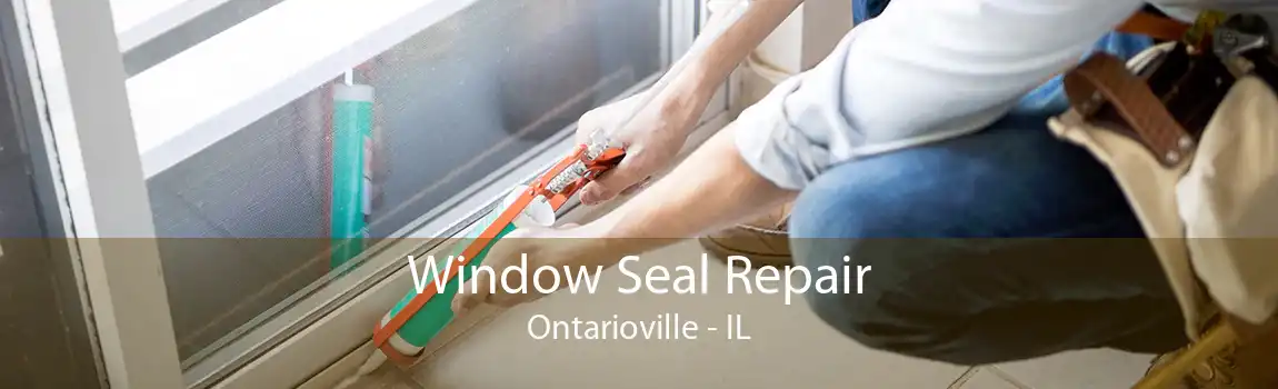 Window Seal Repair Ontarioville - IL