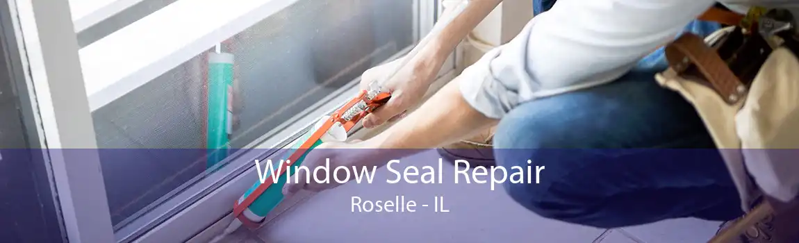 Window Seal Repair Roselle - IL